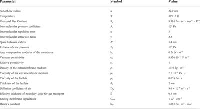 Evaluation of the effects of focused ultrasound stimulation on the central nervous system through a multiscale simulation approach